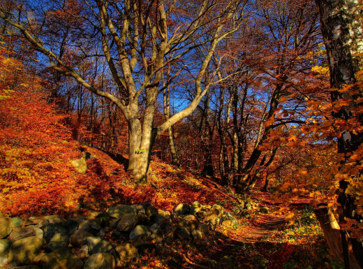 949891 (a): :2500x1849